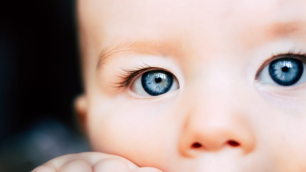 Ce qui se cache derrière le regard des bébés (Shutterstock/riggleton)